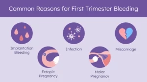 Can Someone Get/Be Pregnant and Experience Periods?